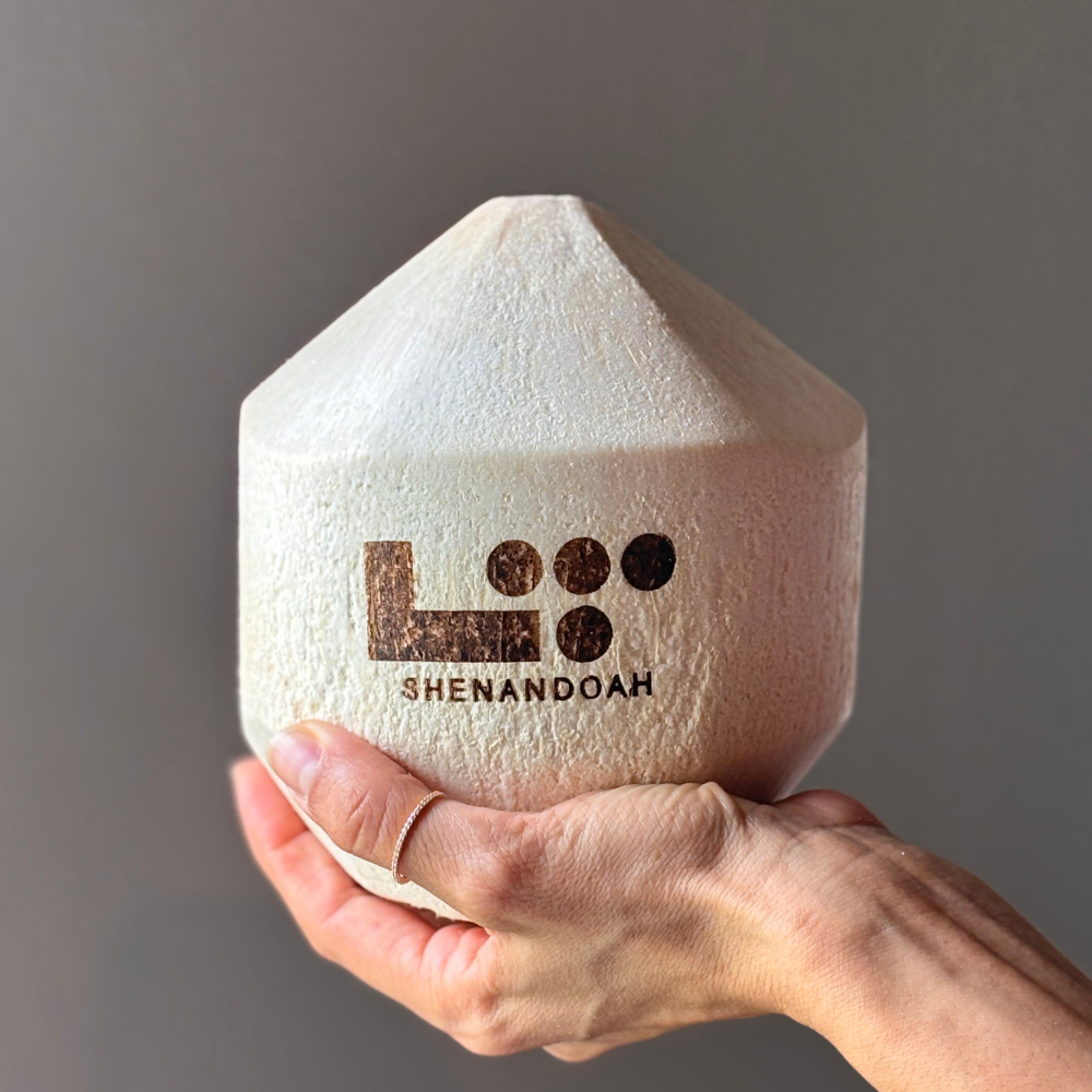 houston-hotel-coconut-image