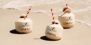 branded-coconuts-with-straws-on-beach