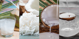 coconut-water-shredded-coconut-milk-oil