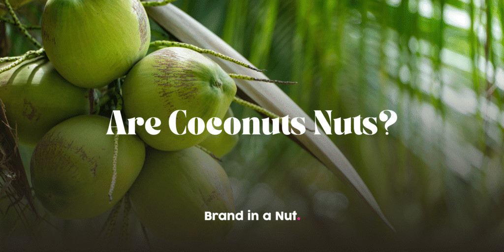 fresh-green-coconuts-on-tree
