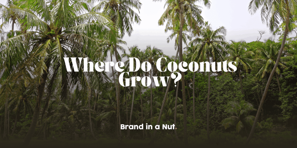 Where Do Coconuts Grow