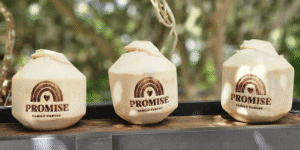 three_custom_branded_coconuts_with_logo_engraved_on_shells_displayed_on_table