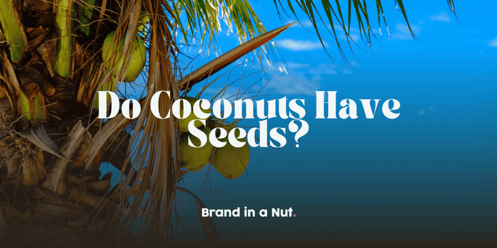 Do Coconuts Have Seeds