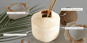 Nutritional Benefits of Coconut Water