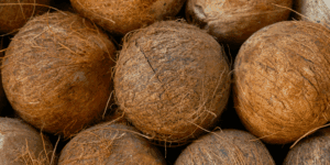 Mature-Brown-Coconuts