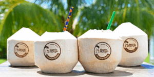 Trimmed or Diamond-Shaped Coconuts