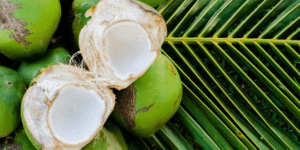 insides-of-Coconuts