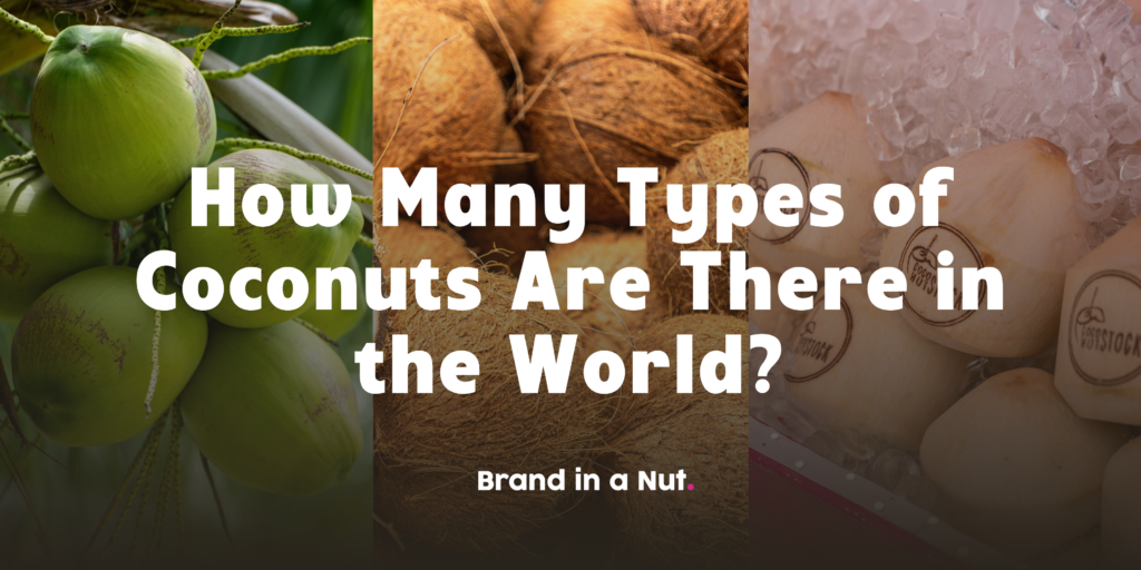 How Many Types of Coconuts Are There